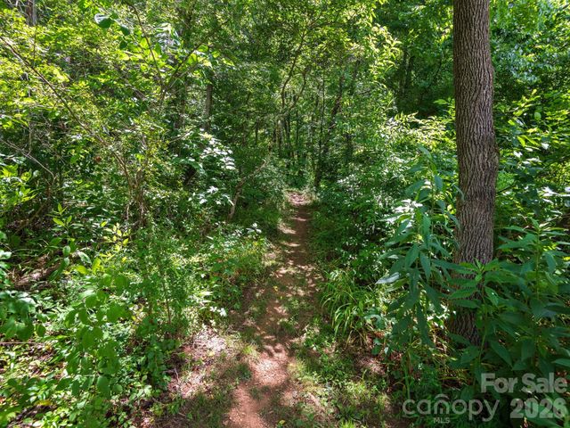 46 Perennial Ridge, Weaverville, NC 28787