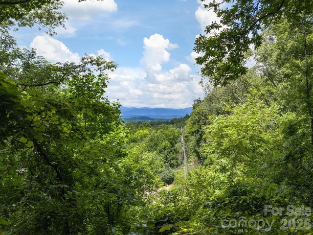 46 Perennial Ridge, Weaverville, NC 28787