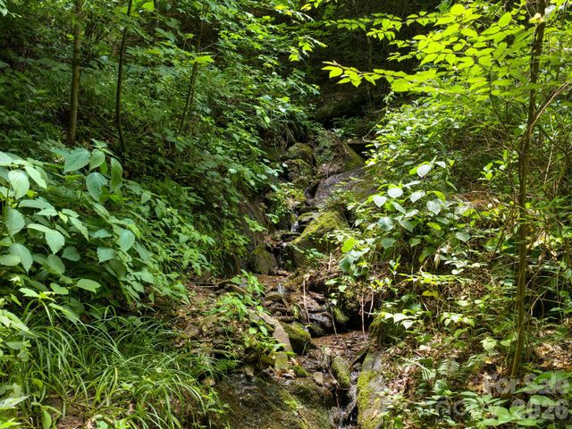 46 Perennial Ridge, Weaverville, NC 28787