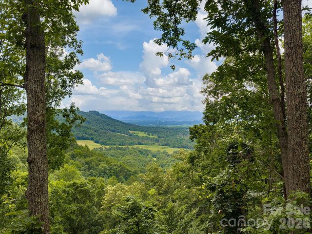 46 Perennial Ridge, Weaverville, NC 28787