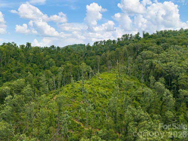 46 Perennial Ridge, Weaverville, NC 28787