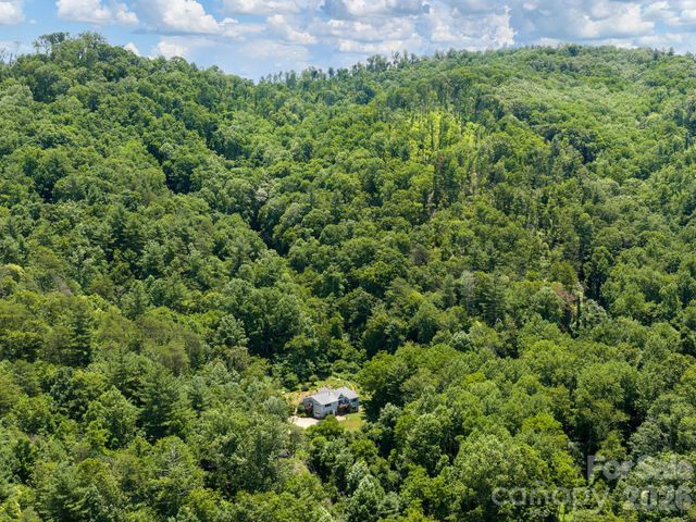 46 Perennial Ridge, Weaverville, NC 28787
