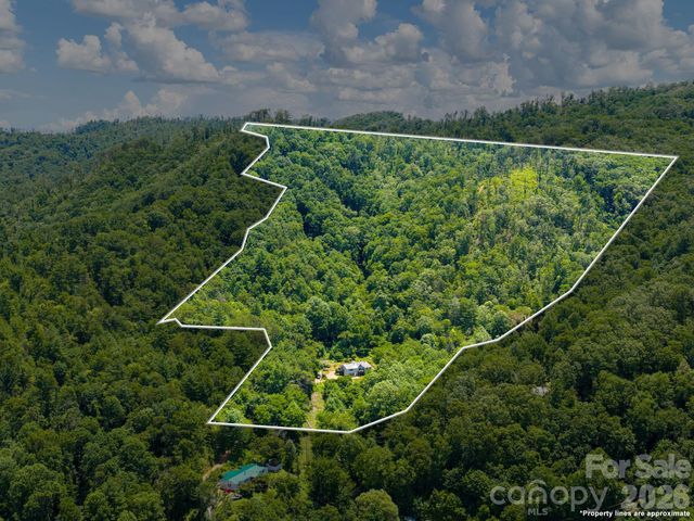 46 Perennial Ridge, Weaverville, NC 28787