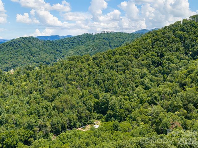 46 Perennial Ridge, Weaverville, NC 28787