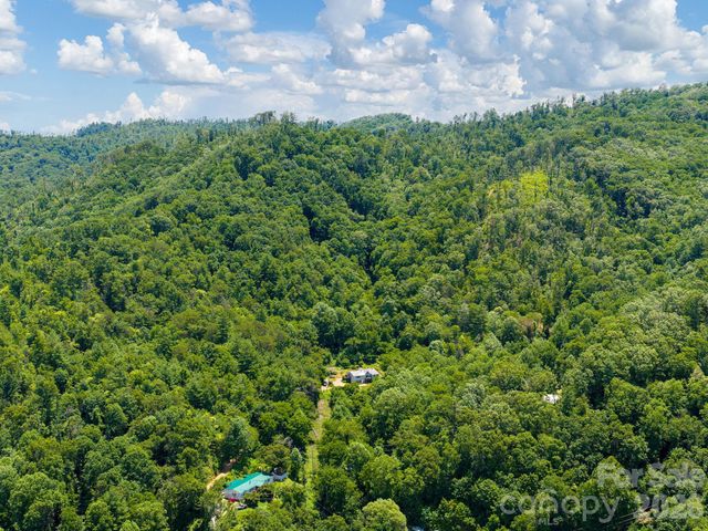 46 Perennial Ridge, Weaverville, NC 28787