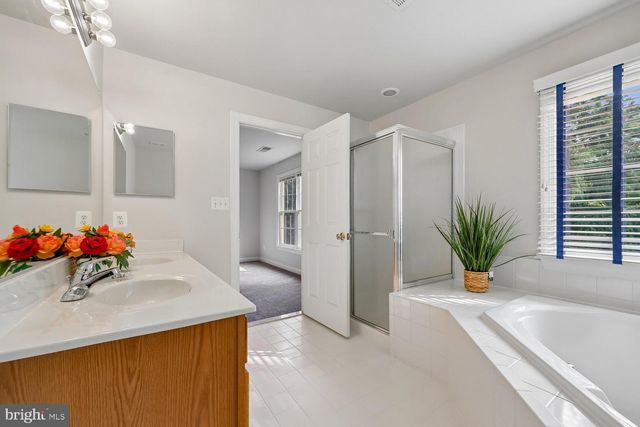 13221 CATAWBA MANOR WAY, Clarksburg, MD 20871