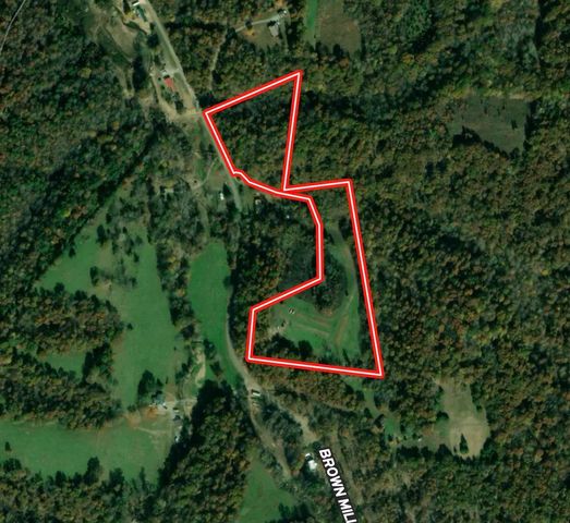 0 Brown Mill Rd, Mc Ewen, TN 37101