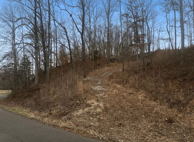 0 Brown Mill Rd, Mc Ewen, TN 37101