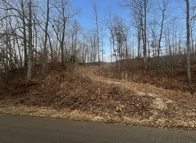 0 Brown Mill Rd, Mc Ewen, TN 37101