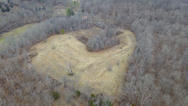 0 Brown Mill Rd, Mc Ewen, TN 37101