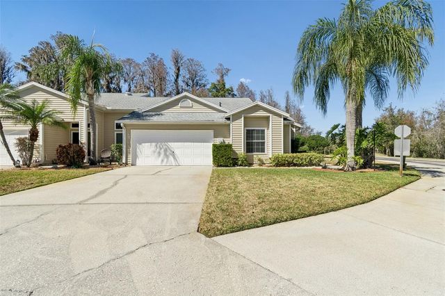 1745 HERON COVE DRIVE, Lutz, FL 33549