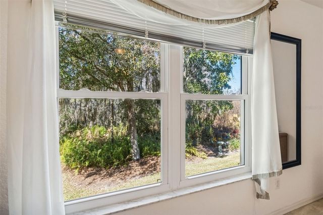 1745 HERON COVE DRIVE, Lutz, FL 33549