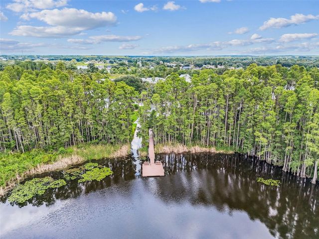 1745 HERON COVE DRIVE, Lutz, FL 33549