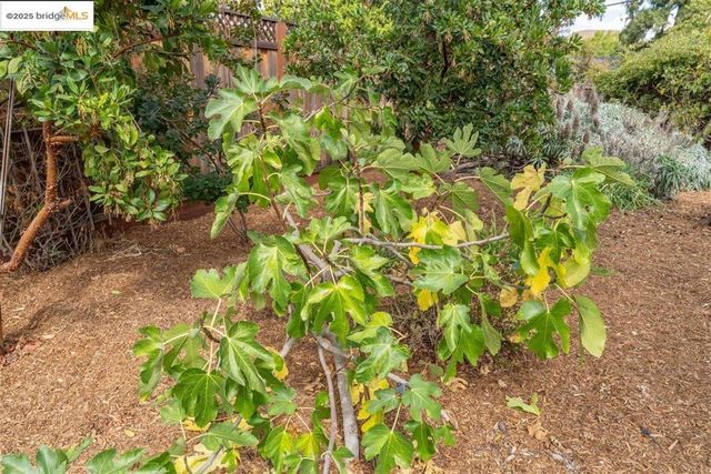 1123 Farragut Dr, Fremont, CA 94539