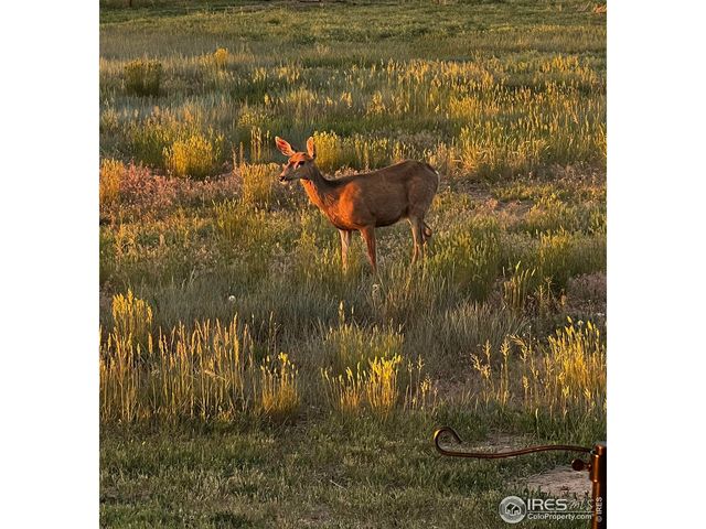11837 County Road 39, Fort Lupton, CO 80621