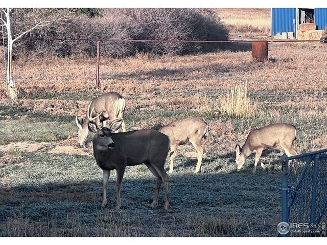 11837 County Road 39, Fort Lupton, CO 80621