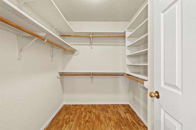 17509 Tobermory DR, Pflugerville, TX 78660