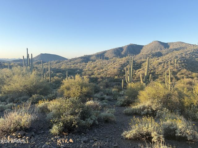 42382 N CHIRICAHUA PASS Pass 318, Scottsdale, AZ 85262