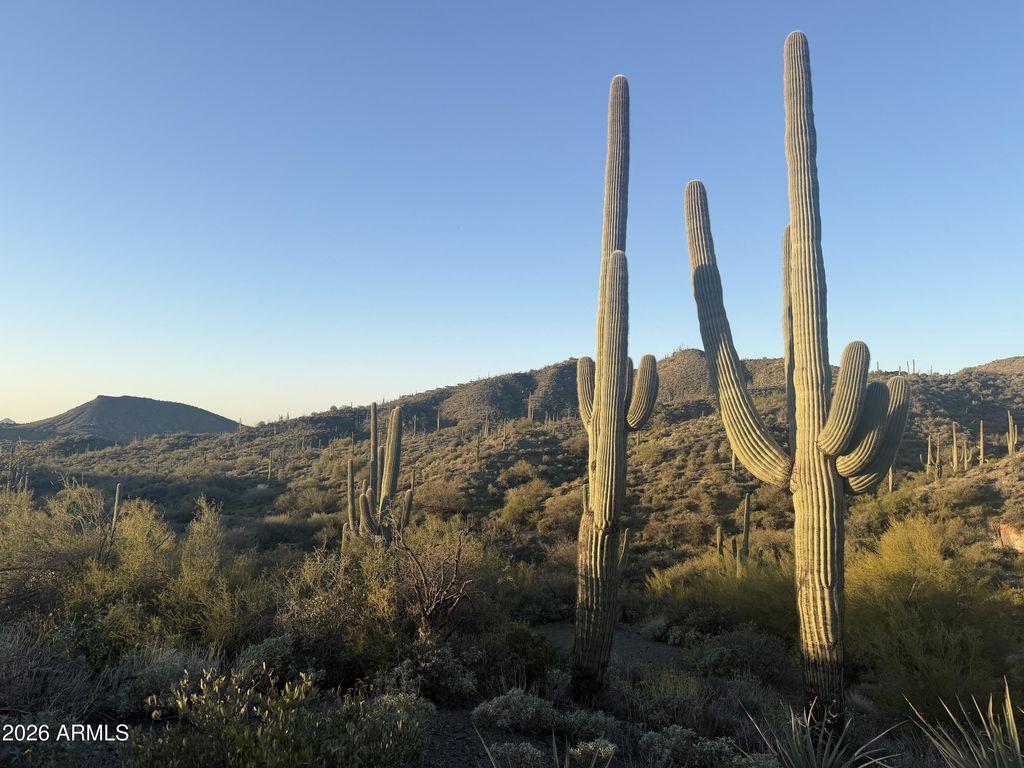 42382 N CHIRICAHUA PASS Pass 318, Scottsdale, AZ 85262 — photo 4