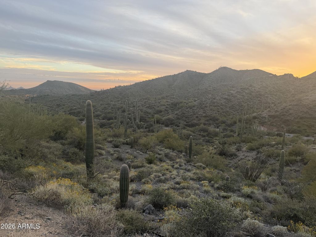 42382 N CHIRICAHUA PASS Pass 318, Scottsdale, AZ 85262 — photo 5