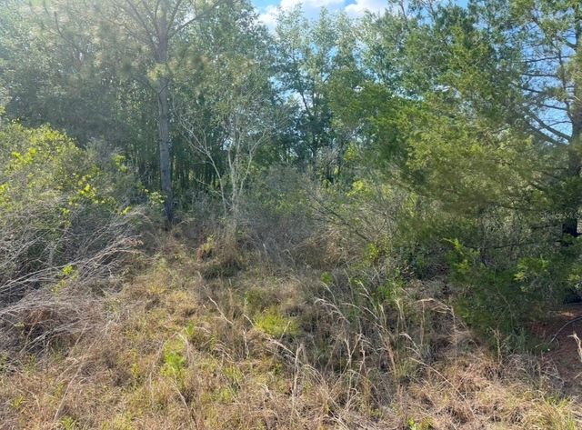 18455 QUIET ROAD, Weeki Wachee, FL 34614