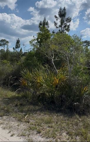 18455 QUIET ROAD, Weeki Wachee, FL 34614