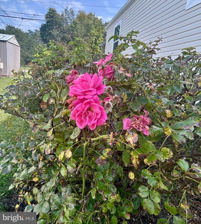 1476 ROUTE, HAINESPORT, NJ 08036 — photo 5