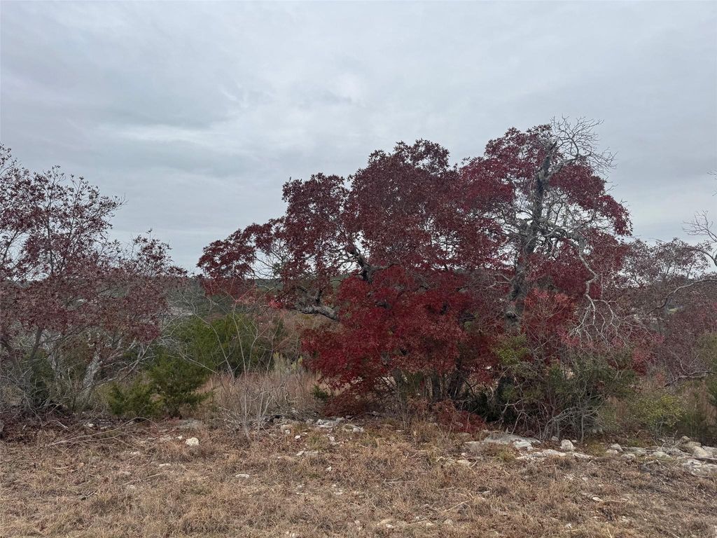 Lot 102 Montana Creek XING, Marble Falls, TX 78654