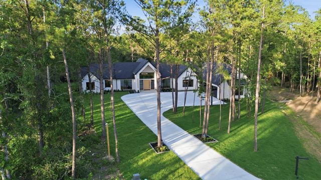 25100 Fort Davis Road, Montgomery, TX 77316