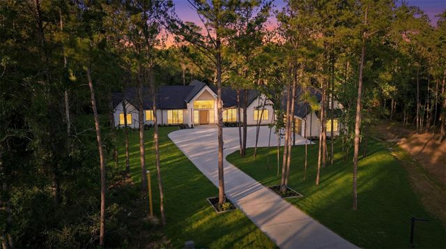 25100 Fort Davis Road, Montgomery, TX 77316