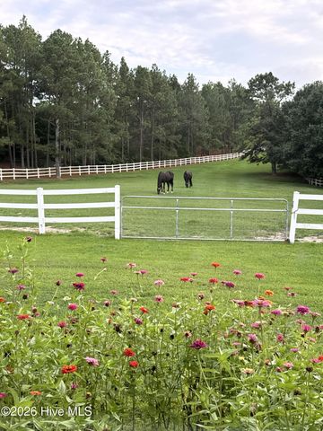 188 Shagbark Road, West End, NC 27376