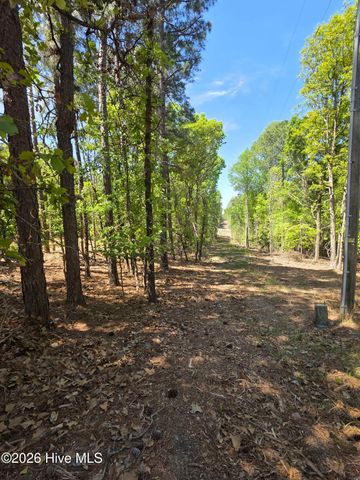 188 Shagbark Road, West End, NC 27376