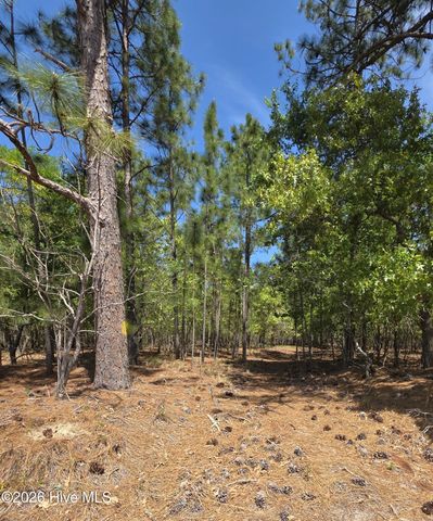 188 Shagbark Road, West End, NC 27376
