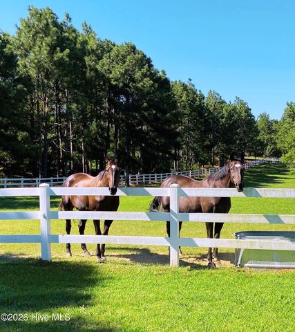 188 Shagbark Road, West End, NC 27376