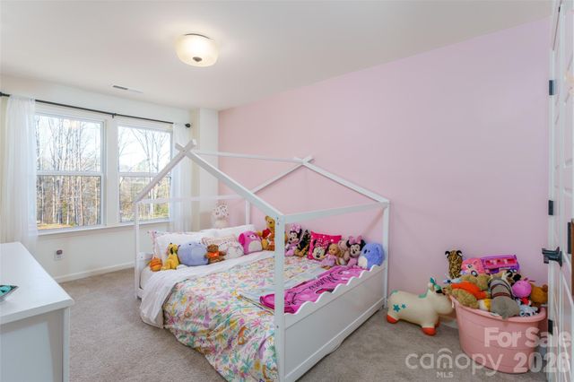 937 Canopy Falls Lane, York, SC 29745