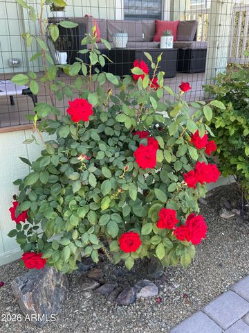 700 W On The Greens Boulevard, Cottonwood, AZ 86326