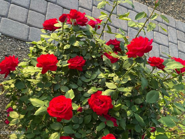 700 W On The Greens Boulevard, Cottonwood, AZ 86326