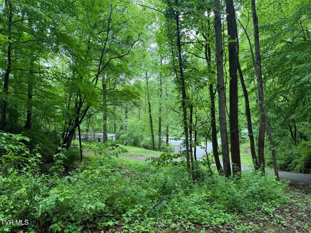 345 South Hamblen Street, Big Stone Gap, VA 24219