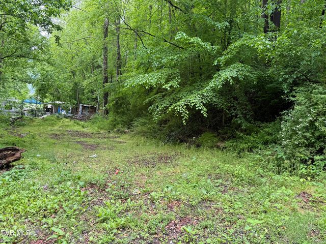 345 South Hamblen Street, Big Stone Gap, VA 24219