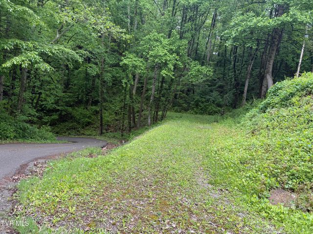 345 South Hamblen Street, Big Stone Gap, VA 24219