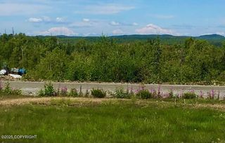 17562 W Bluebill Avenue, Wasilla, AK 99623