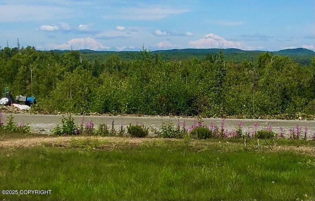 17562 W Bluebill Avenue, Wasilla, AK 99623