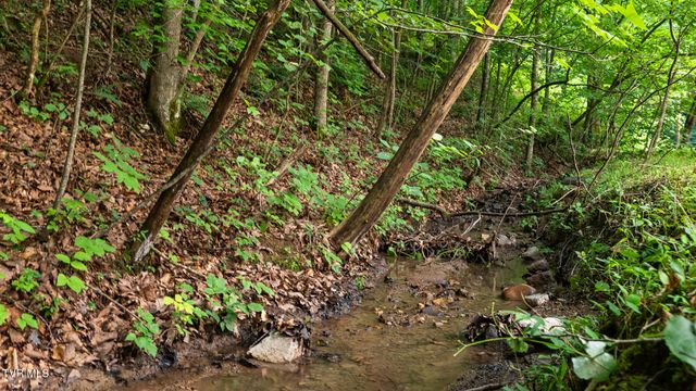 129 Johnson Road, Rogersville, TN 37857