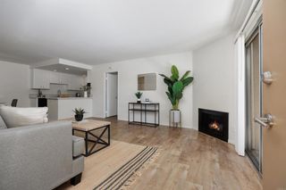 227 Woodland Parkway 263, San Marcos, CA 92069