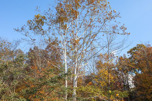 320 Cravens Hollow Road, Liberty, KY 42539