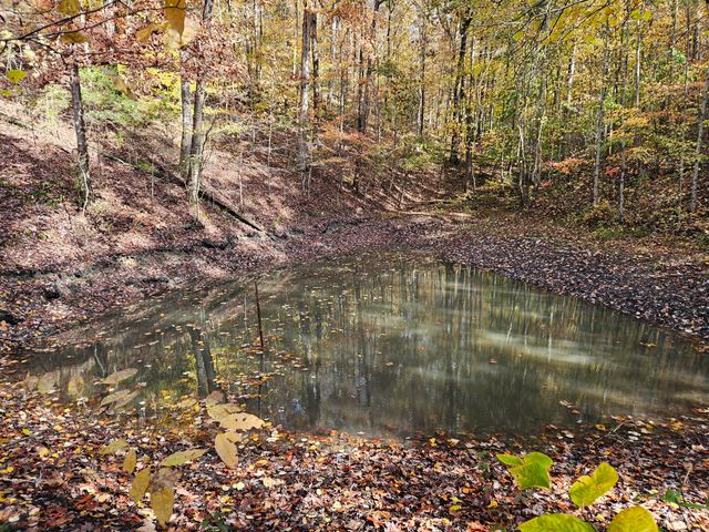 320 Cravens Hollow Road, Liberty, KY 42539