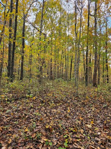320 Cravens Hollow Road, Liberty, KY 42539