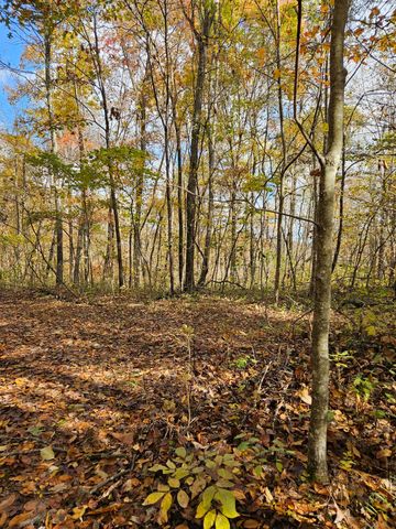 320 Cravens Hollow Road, Liberty, KY 42539