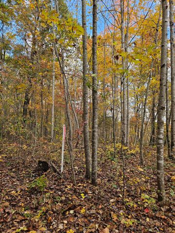 320 Cravens Hollow Road, Liberty, KY 42539