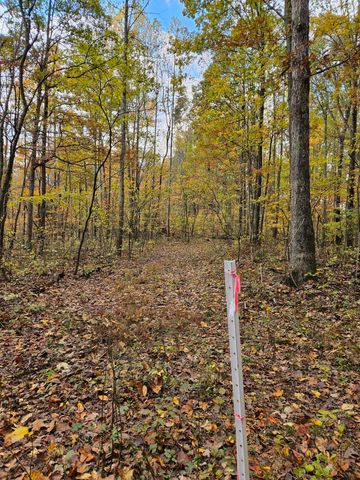 320 Cravens Hollow Road, Liberty, KY 42539